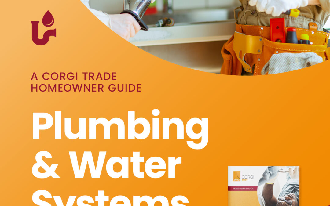 Plumbing & Water Systems: Simple Steps Every Homeowner Can Take to Stay Safe
